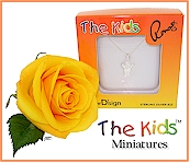 New! The Kids Miniatures include a 17" pendant chain.